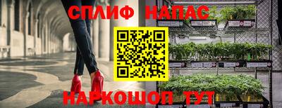 мдпв Донской